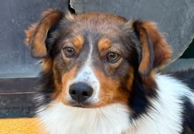 Imagen de Jerry Vulne