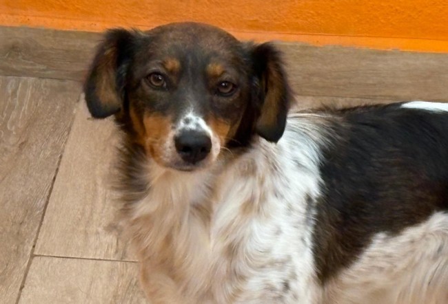 Imagen de Linda Vulne